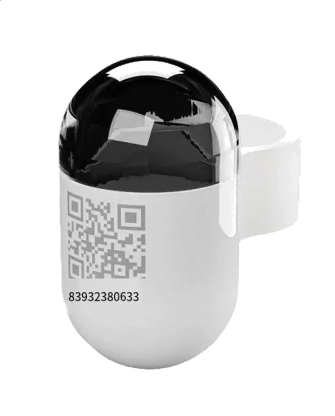 Bird GPS and Performance Tracker My Store