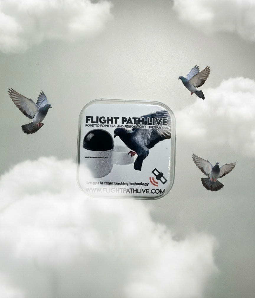 1x Bird GPS and Performance Tracker My Store