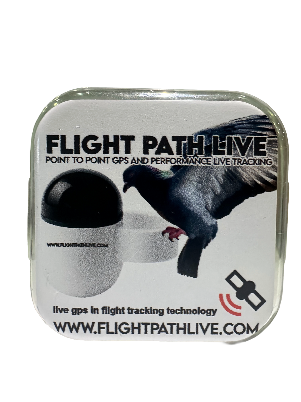 1x Bird GPS and Performance Tracker My Store